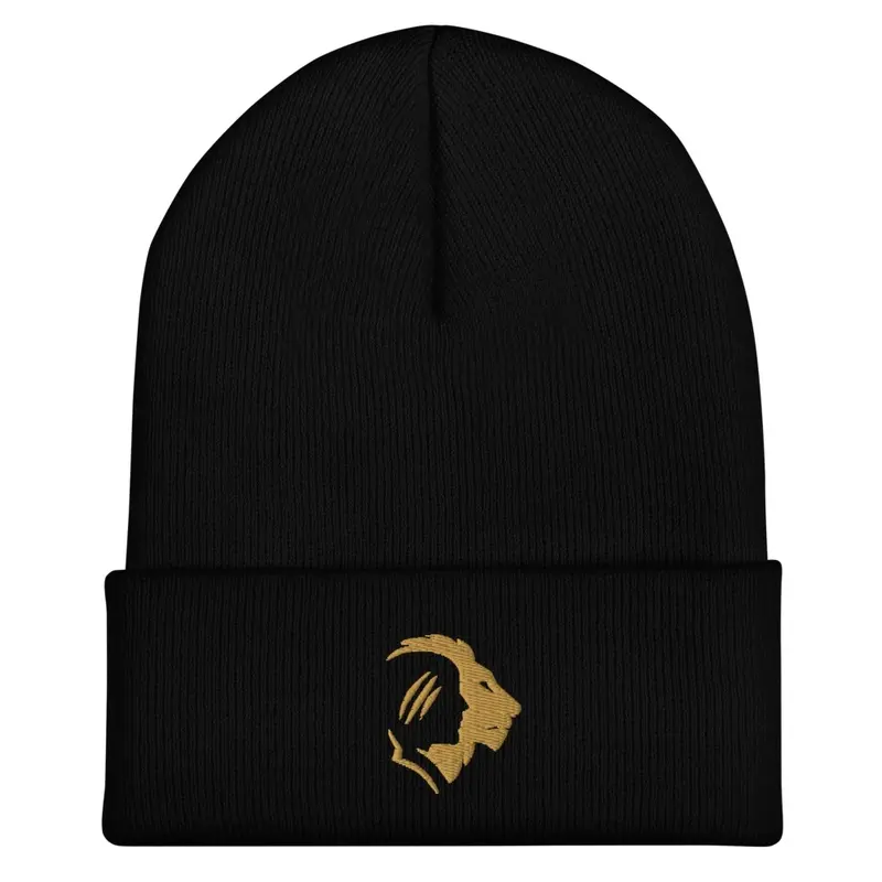 MSA Embroidered Beanie